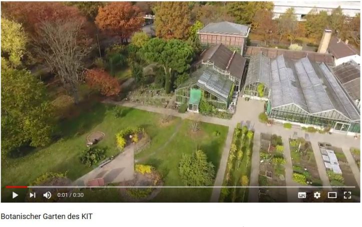 Botanischer Garten KIT